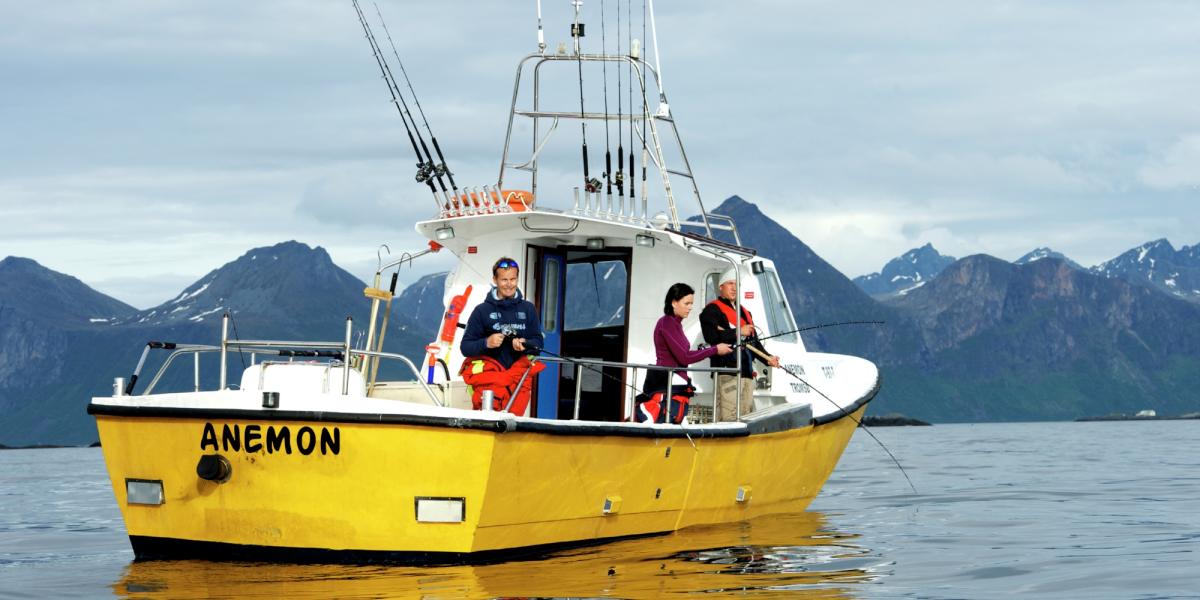 FFT Pro 700 g Norwegian Miroir Pirk Jig Cod Norvège bateau mer profonde épave de pêche 