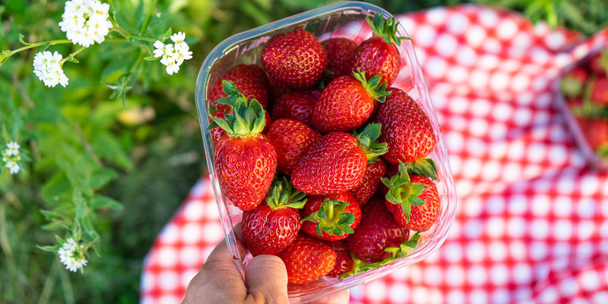 July in norway 12 things to do
