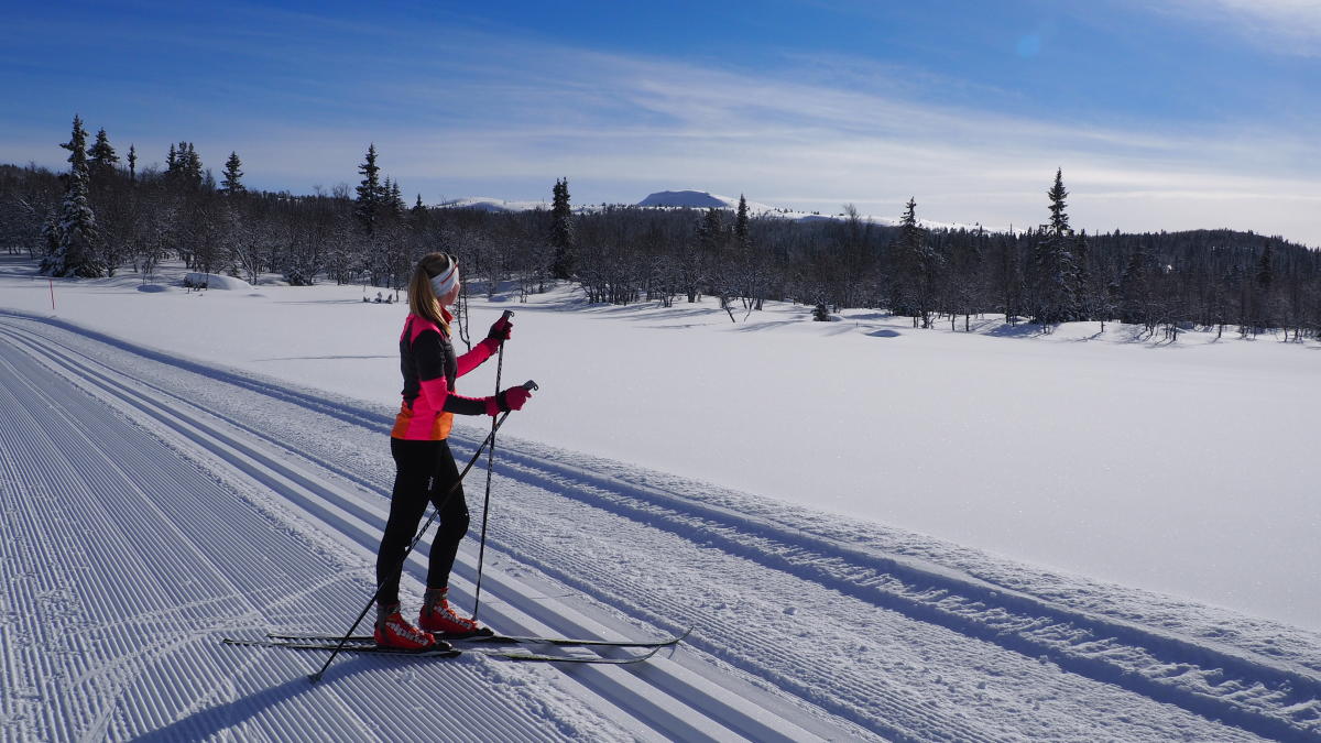 Cross-country skiing - features of choice 19 Cross-country skiing - features of choice 9