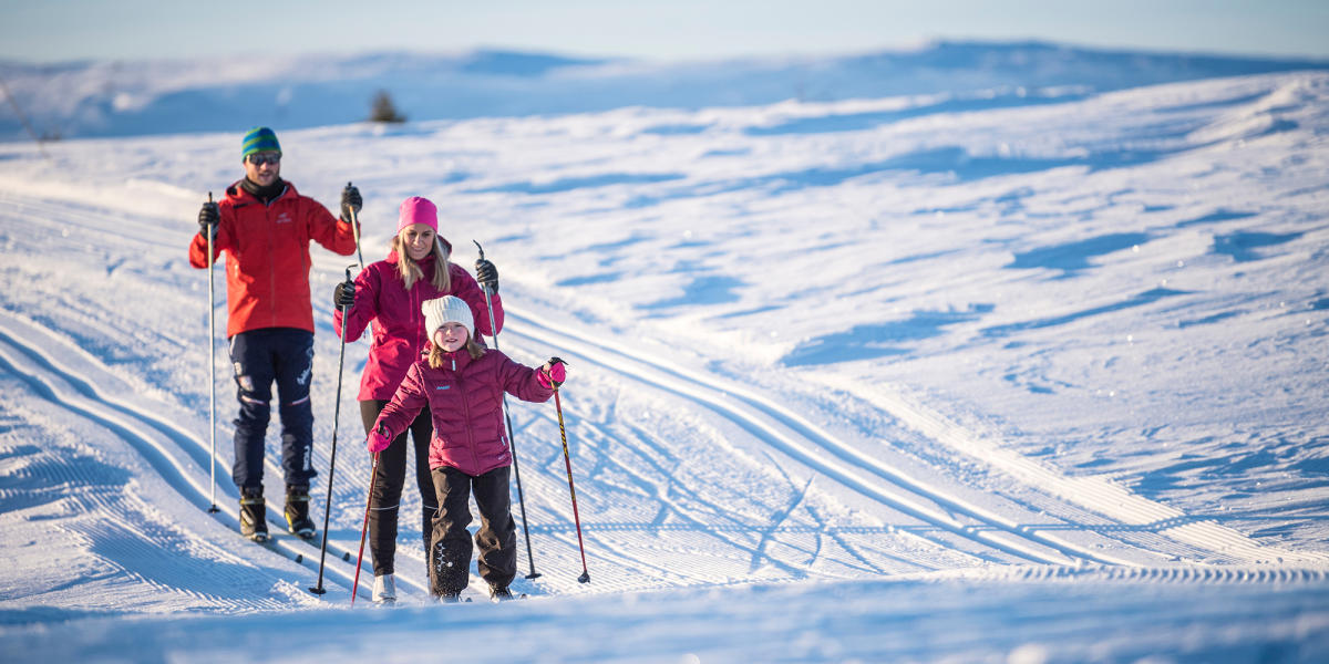 Forhandle begå Kort levetid Langrend for begyndere | Lær at løbe langrend i Norge