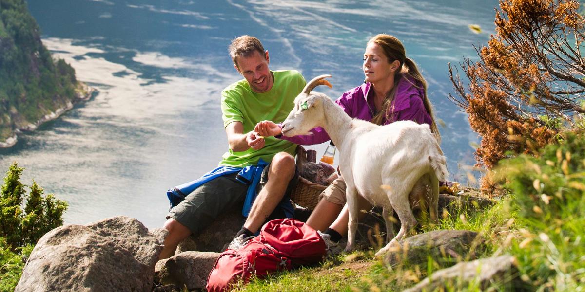 Things To Do In The Geirangerfjord Area Visit Norway It was one of the most amazing trip of my life. things to do in the geirangerfjord area