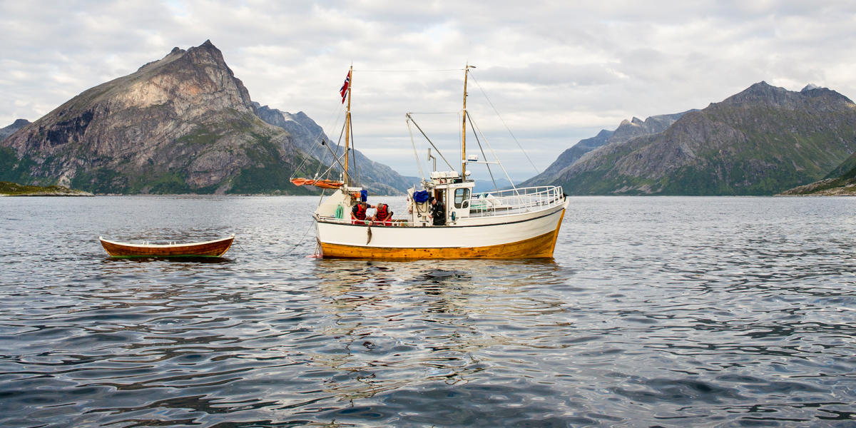 pesca marina y de fiordo en noruega - visitnorway.es