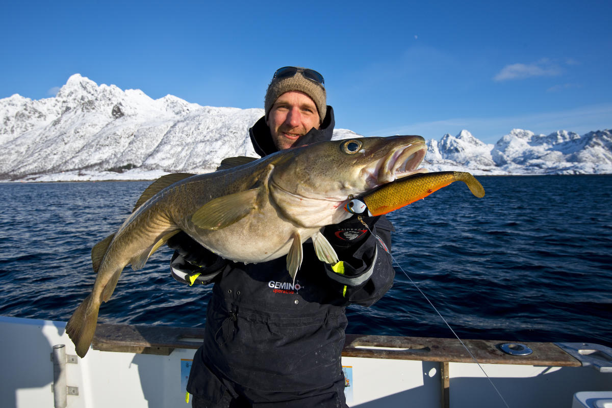 Рыбалка на крайнем севере. Морская рыбалка в Норвегии. Норвежская треска скрей. Рыболовля в Норвегии. Морская рыбалка в Северной Норвегии.