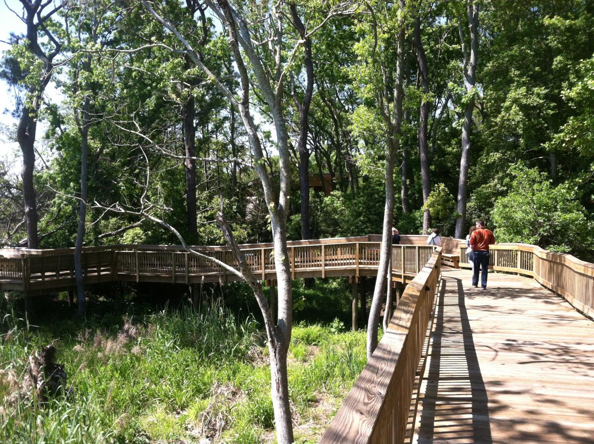 Outer Banks Hiking Explore Beaches & Maritime Forests