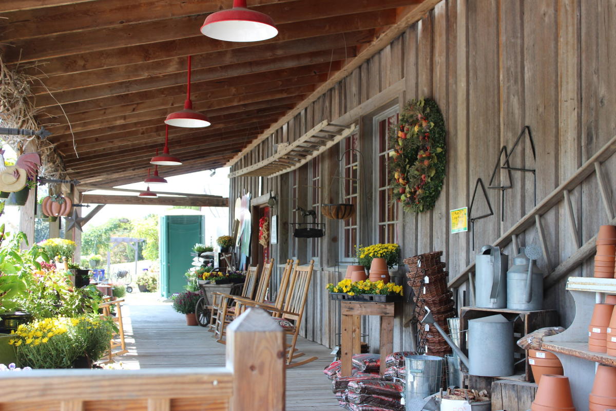 10 Country Stores to Visit in Virginia's Blue Ridge Roanoke, VA