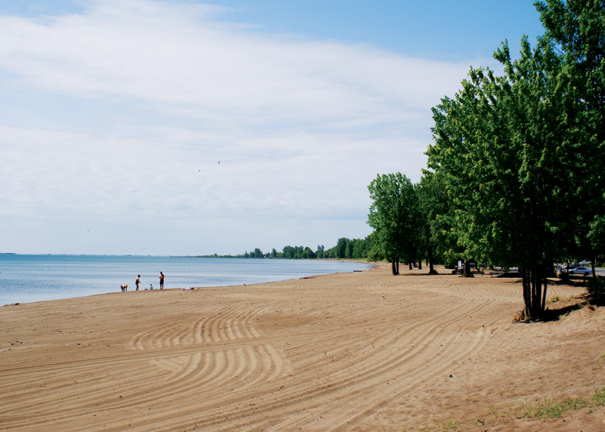 Ontario S Southwest Turkey Point Beach