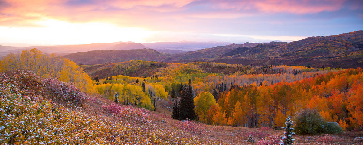 Top 4 Fall Color Drives In Colorado Near Steamboat Springs