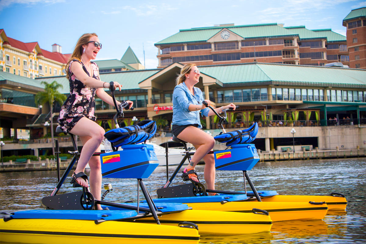 Things To Do In Tampa Florida Attractions Family Fun More