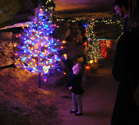 Ruby Falls Christmas Underground Tree