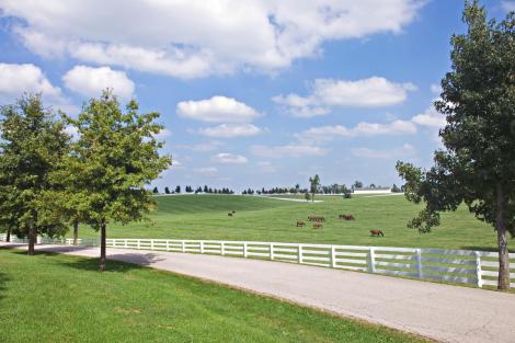 Scenic roadside in Lexington, KY