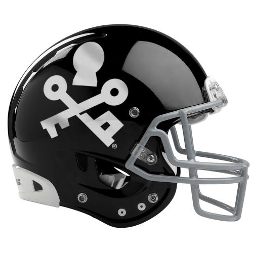 Unlock Florida’s Most in Tampa Bay at the Outback Bowl