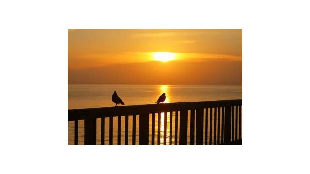 Setting Sun Spotlights Solitary >> Instagram Pix Setting Sun Spotlights Solitary >> Instagram Pix