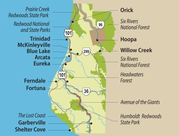 Travel Info For The Redwood Forests Of California Eureka