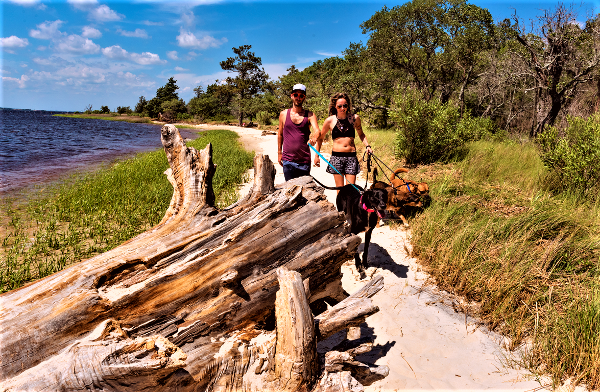 Carolina Beach State Park
