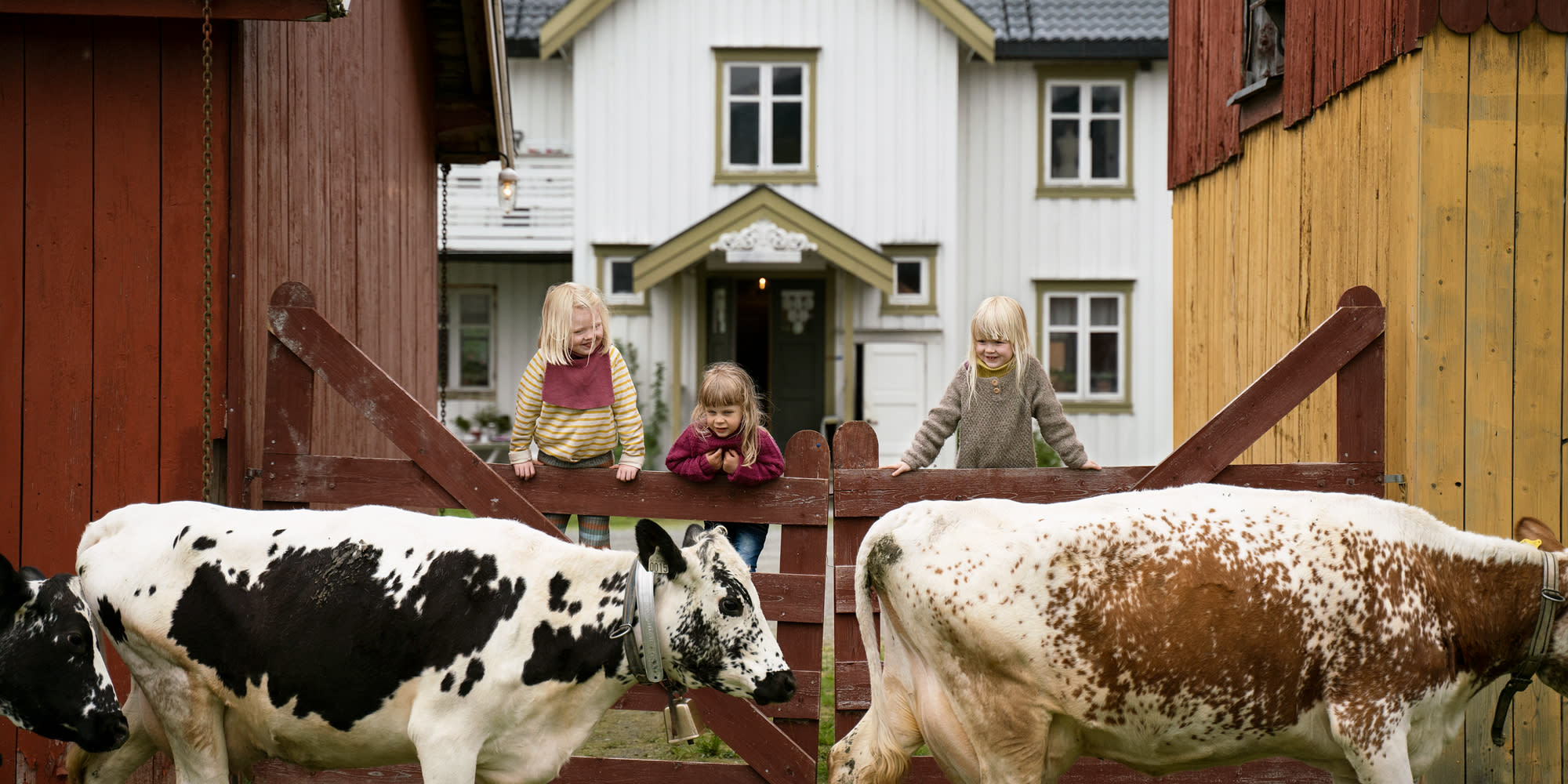 Vakantieboerderijen in Noorwegen Overnacht op een boerderij Boerderijvakantie