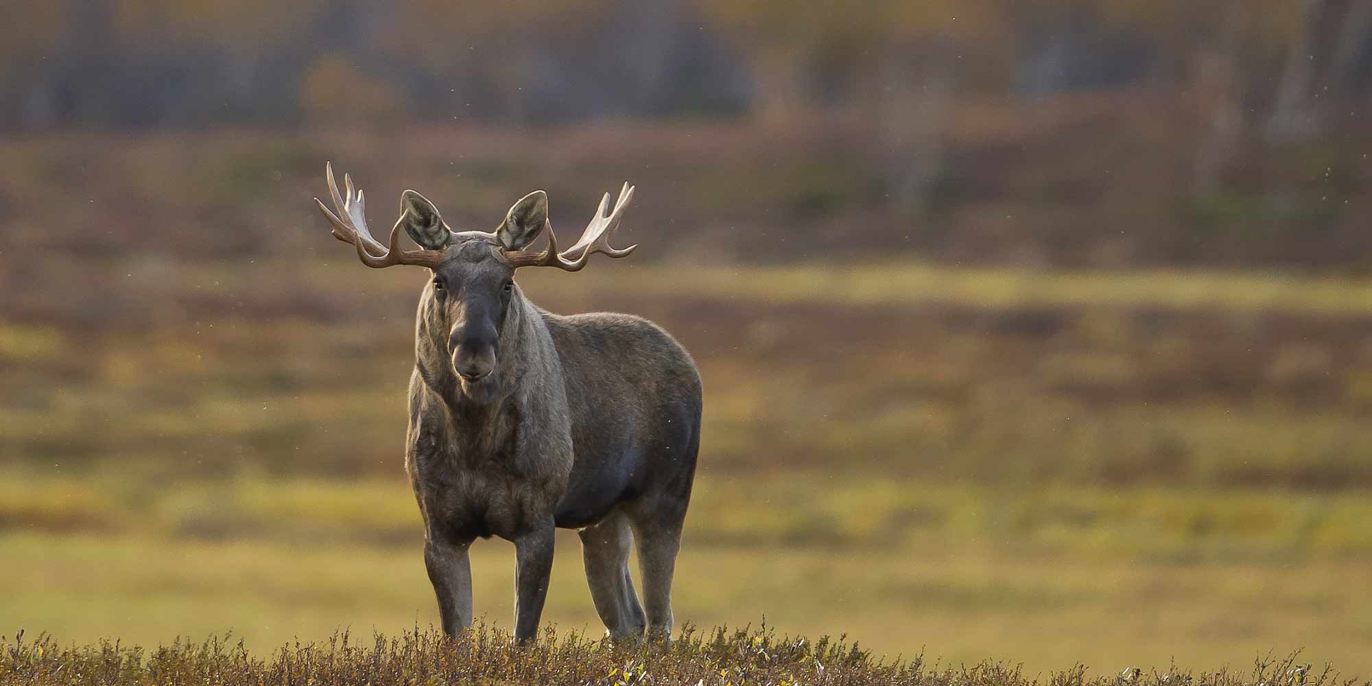 Visit Norway Das offizielle Reiseportal für Norwegen visitnorway.de