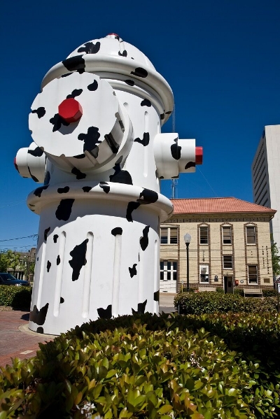 The Giant Dalmatian Fire Hydrant