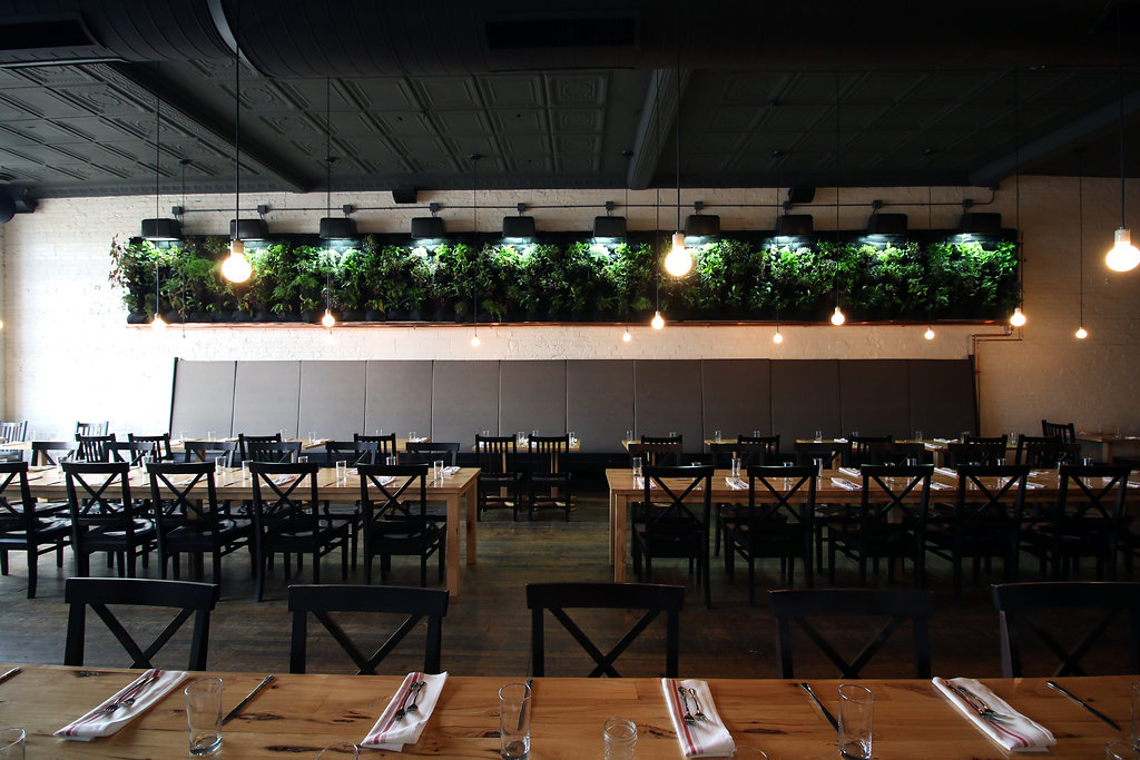 Dining room at Wolf's Ridge Brewing with wooden tables, hanging lights and a wall of live plants