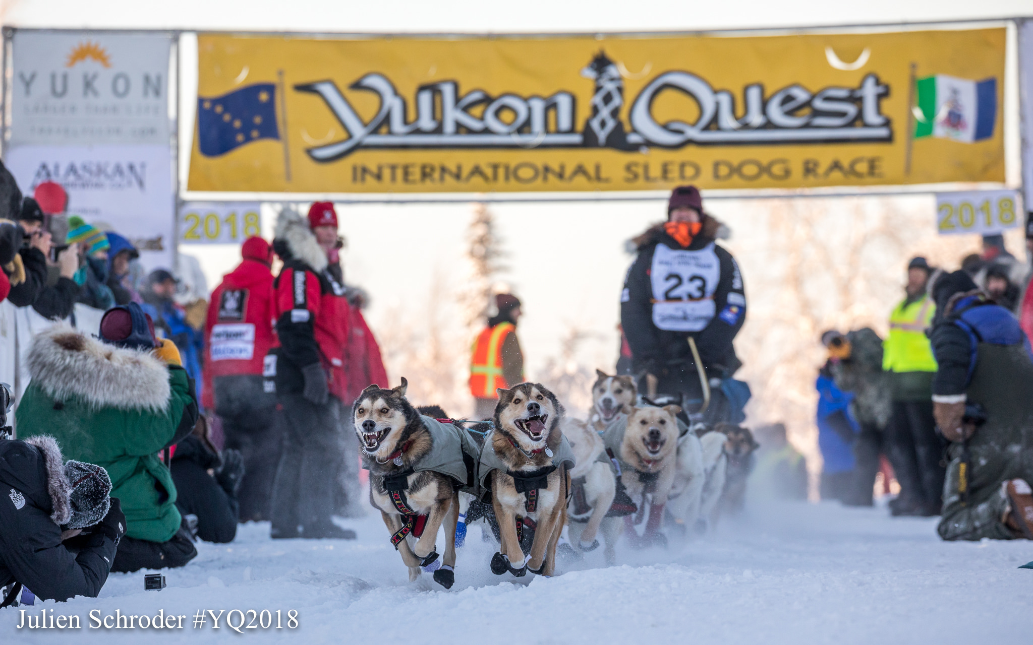 Yukon Quest Sled Dog Race Mushing