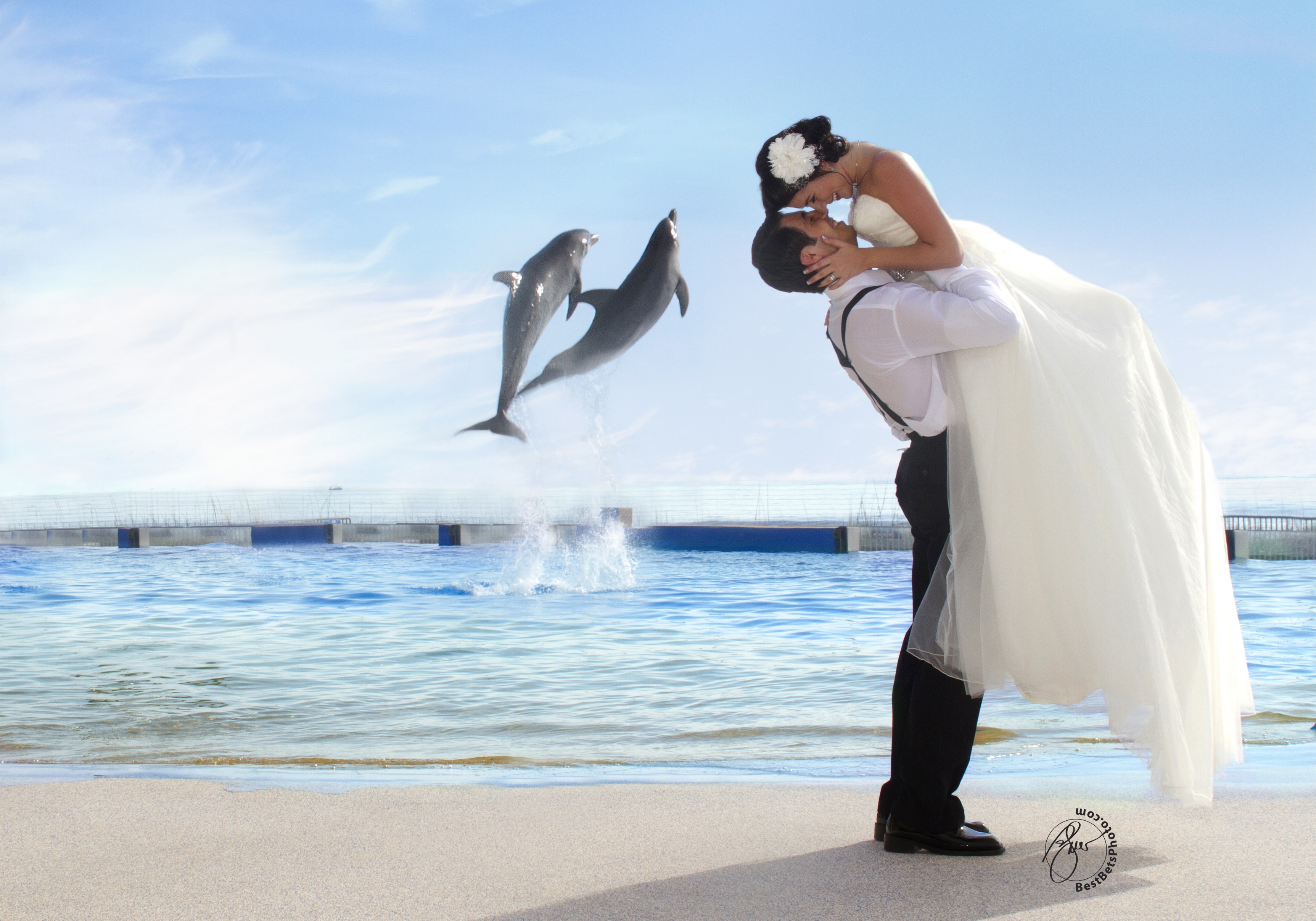 Marineland Wedding