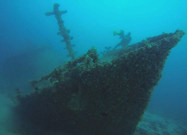 Artificial Reef, Shipwreck
