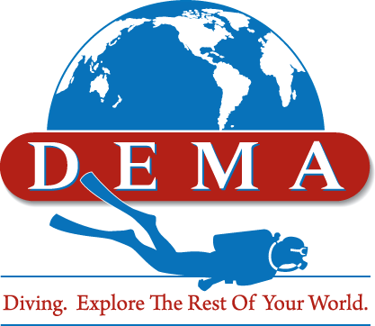 Dema-Logo