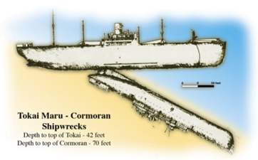 Tokai-Cormoran-wrecks