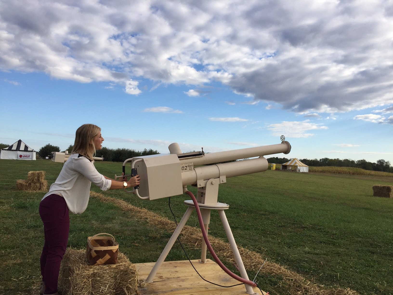 Apple cannon at Beasley's Orchard