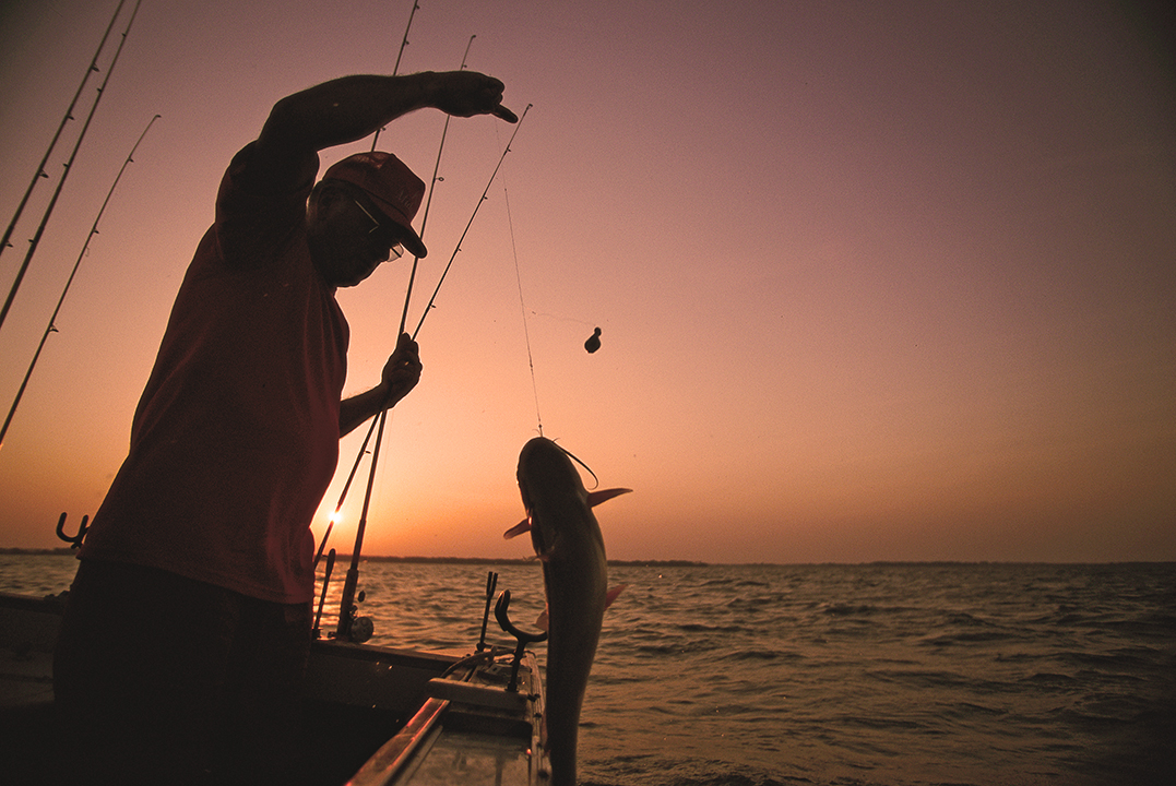 Summer Blue Catfishing Strategies - In-Fisherman