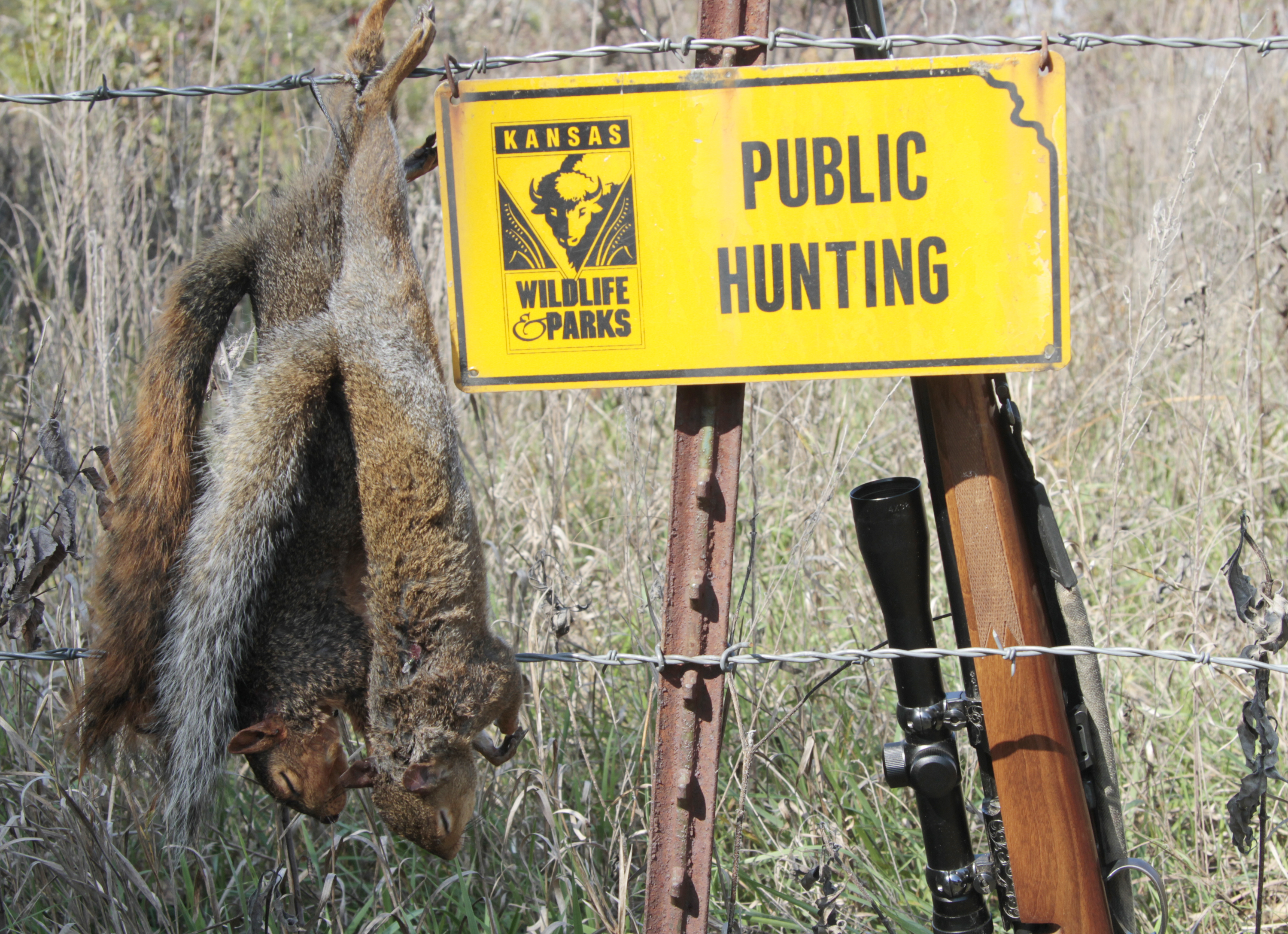 Squirrel hunting sign