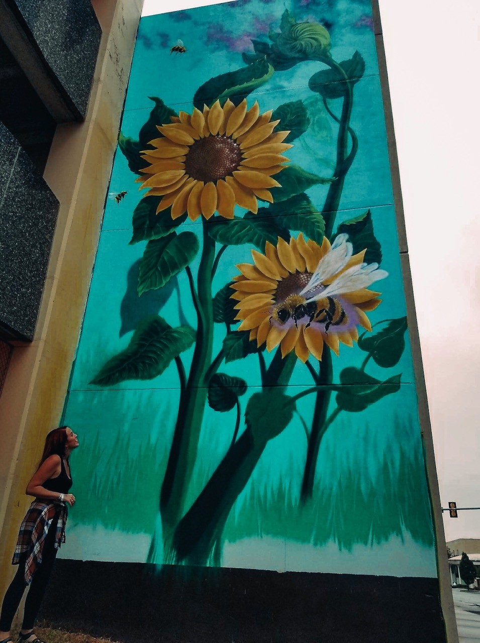 Downtown Topeka Sunflower Mural | Topeka, KS Rebekah Baughman