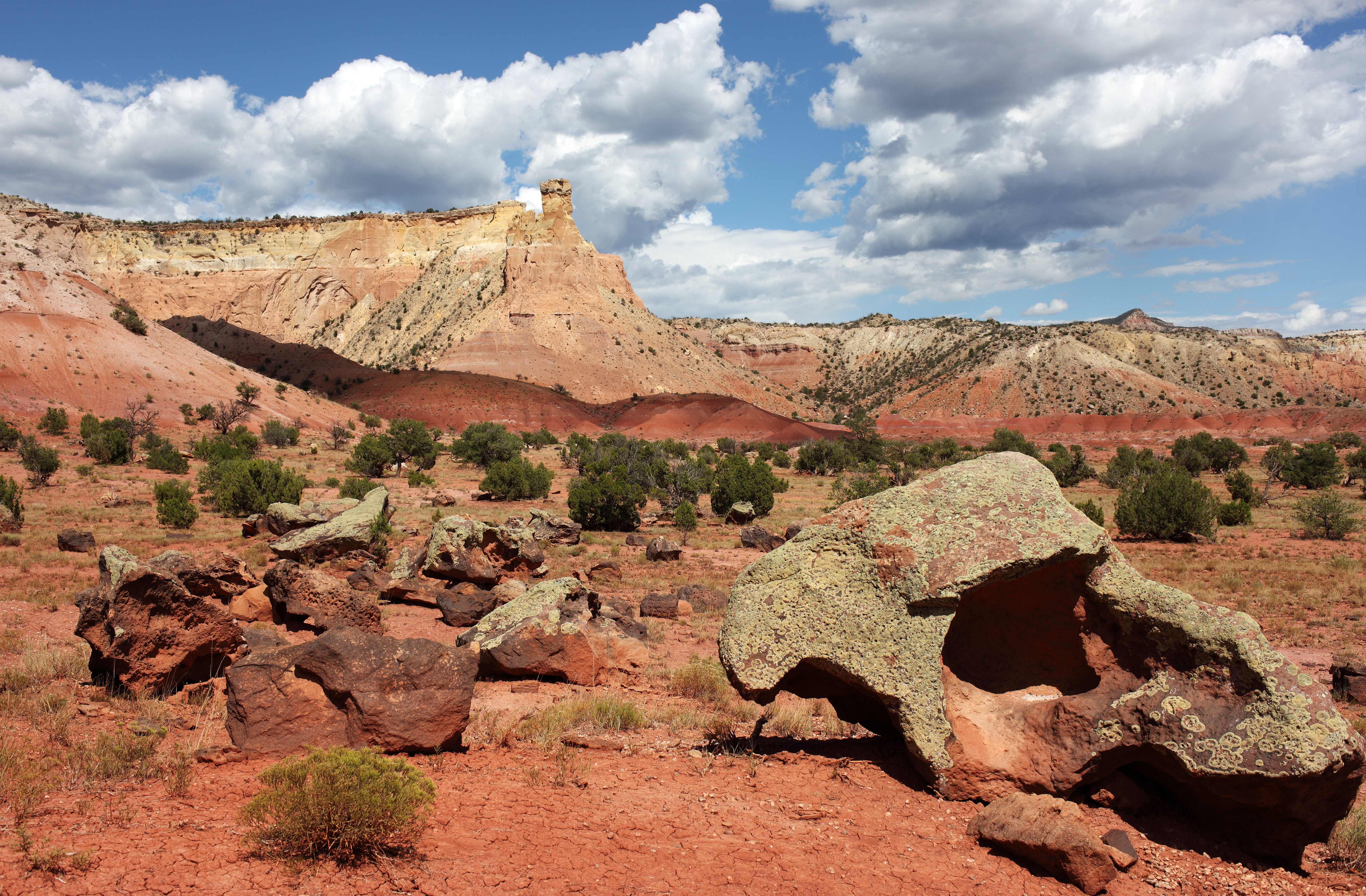 Ghost Ranch Vista