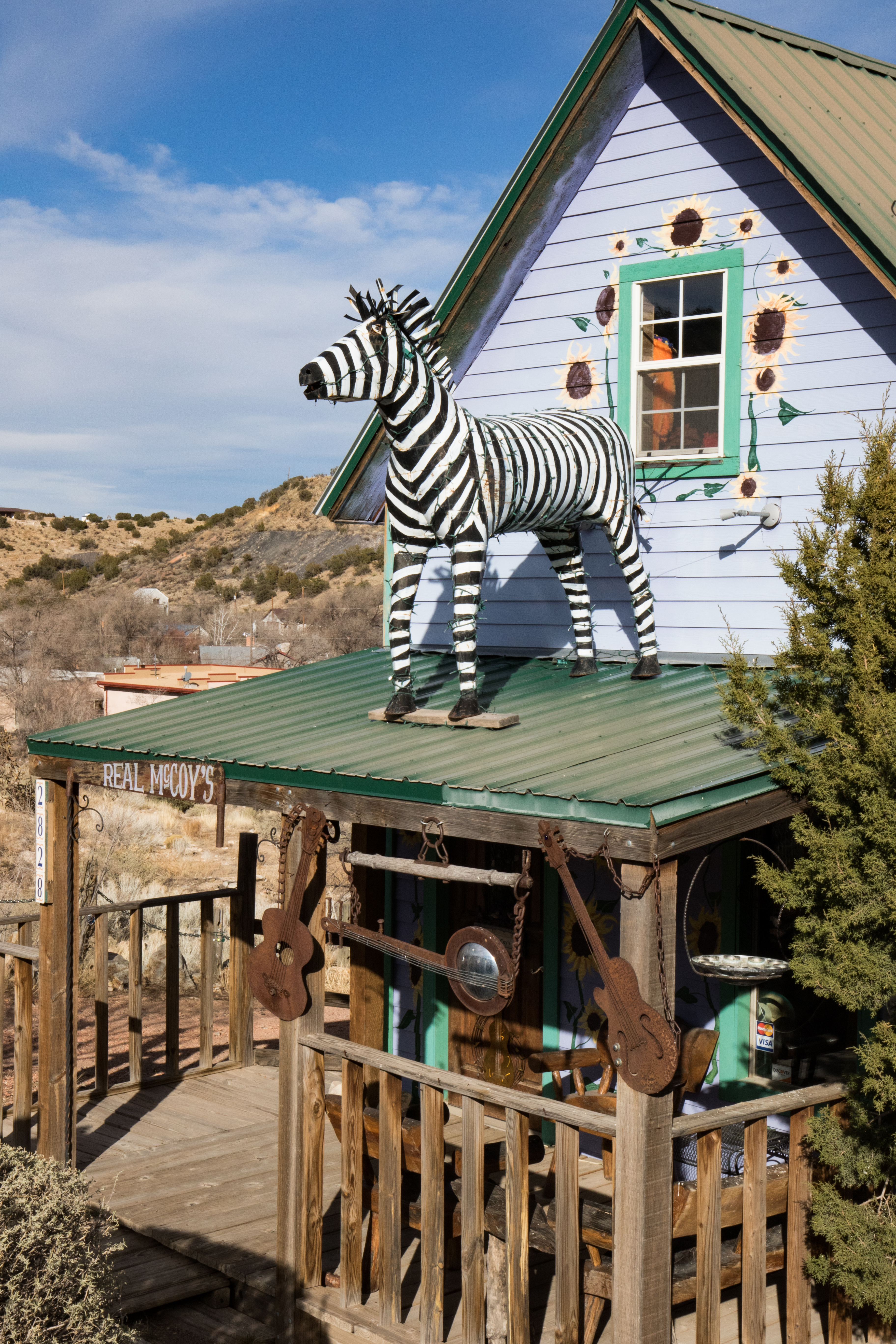 Madrid House with Zebra