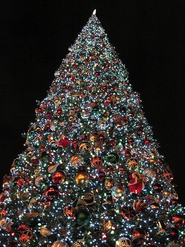 West Windsor, NJ Christmas Tree lighting at Ron Rogers Arboretum