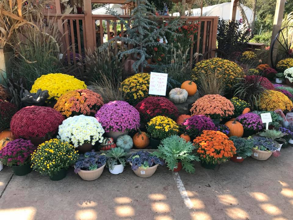 Big Creek Nursery