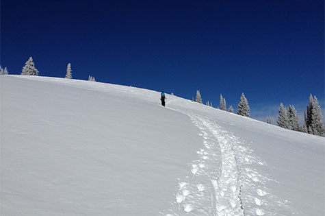 Nordic Skiing in Steamboat Springs, Colorado