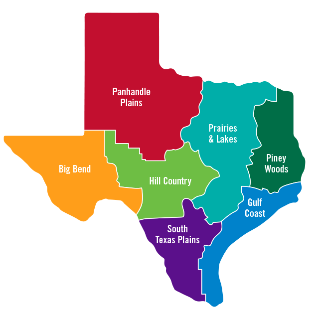 Texas 4 Regions Map With Cities