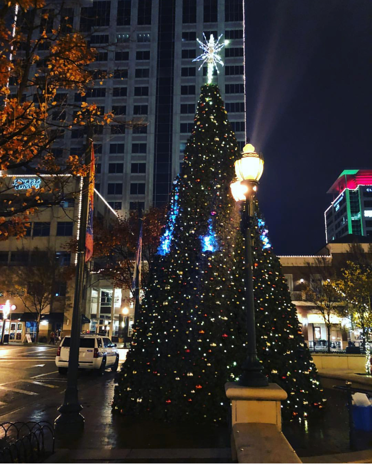 Town Center Christmas Tree