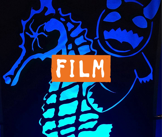 Cucalorus Film image with seahorse and stuffed animal